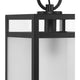 Parrish 1-Light Outdoor Pendant