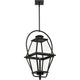 Bradshaw 1-Light Outdoor Pendant