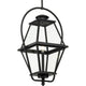 Bradshaw 1-Light Outdoor Pendant