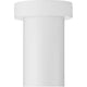 3" 1-Light Surface Mount Cylinder