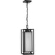 Unison 1-Light Outdoor Pendant