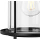 Gunther 1-Light Outdoor Wall Light