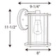 Gunther 1-Light Outdoor Wall Light