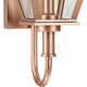 Bradshaw 1-Light Outdoor Wall Light