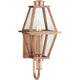 Bradshaw 1-Light Outdoor Wall Light