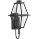 Bradshaw 1-Light Outdoor Wall Light