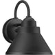Bayside 1-Light Outdoor Wall Lantern