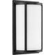 Parkhurst 2-Light Wall Sconce