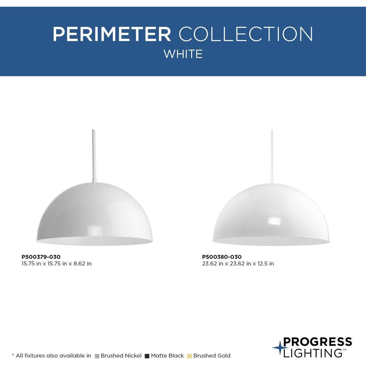 Perimeter 1-Light Pendant