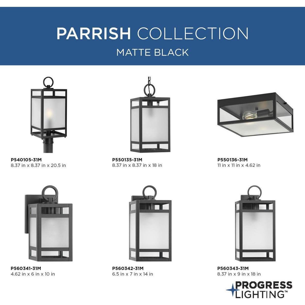 Parrish 1-Light Outdoor Wall Light