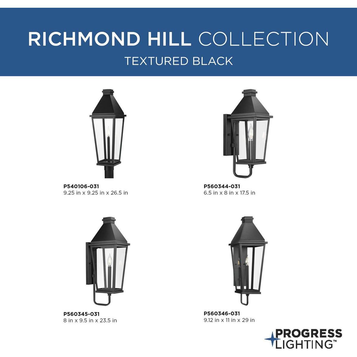 Richmond Hill 1-Light Outdoor Post Light
