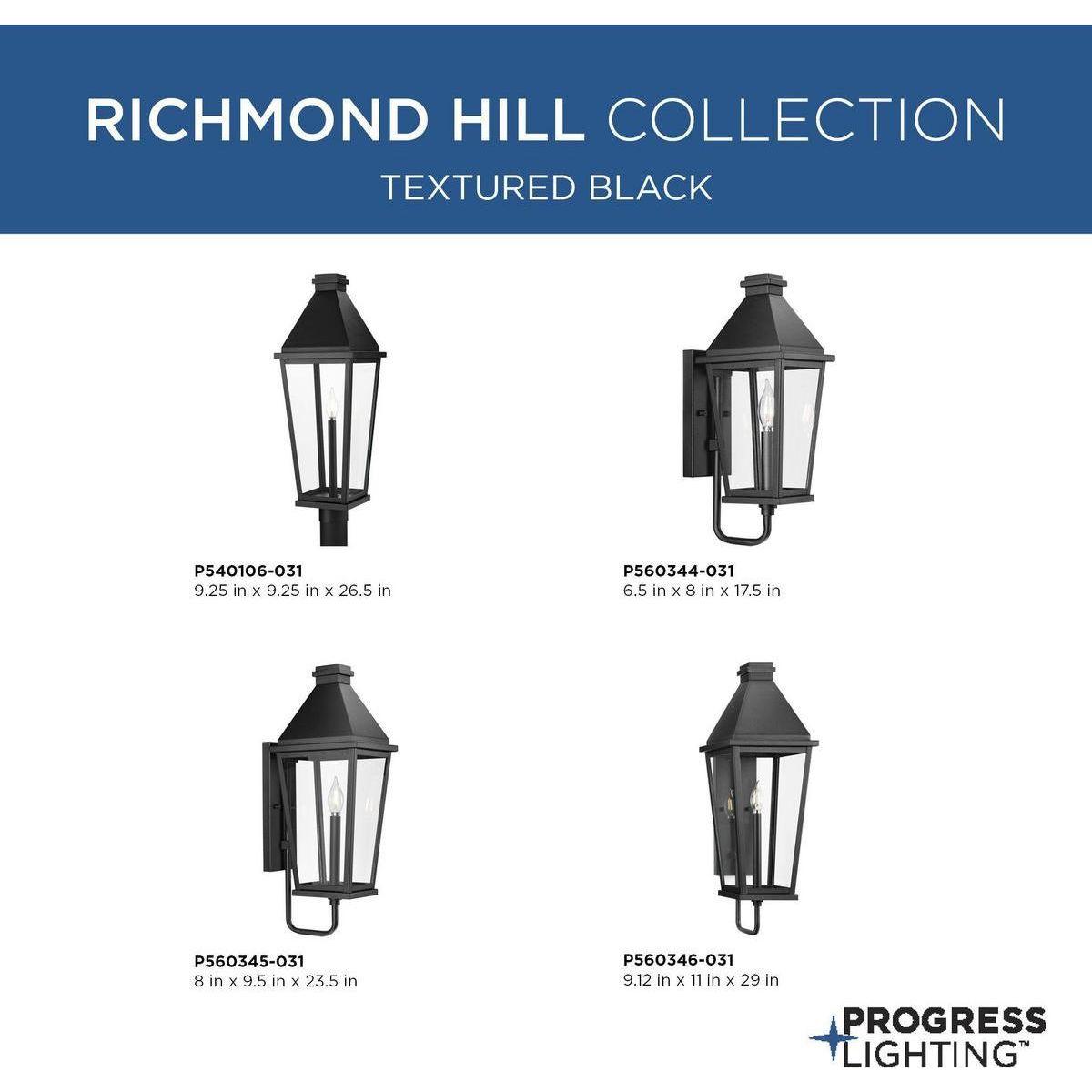 Richmond Hill 1-Light Outdoor Wall Light