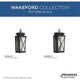 Wakeford 1-Light Outdoor Wall Light