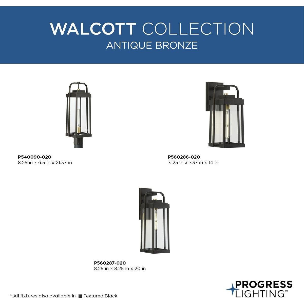 Walcott 1-Light Outdoor Wall Light