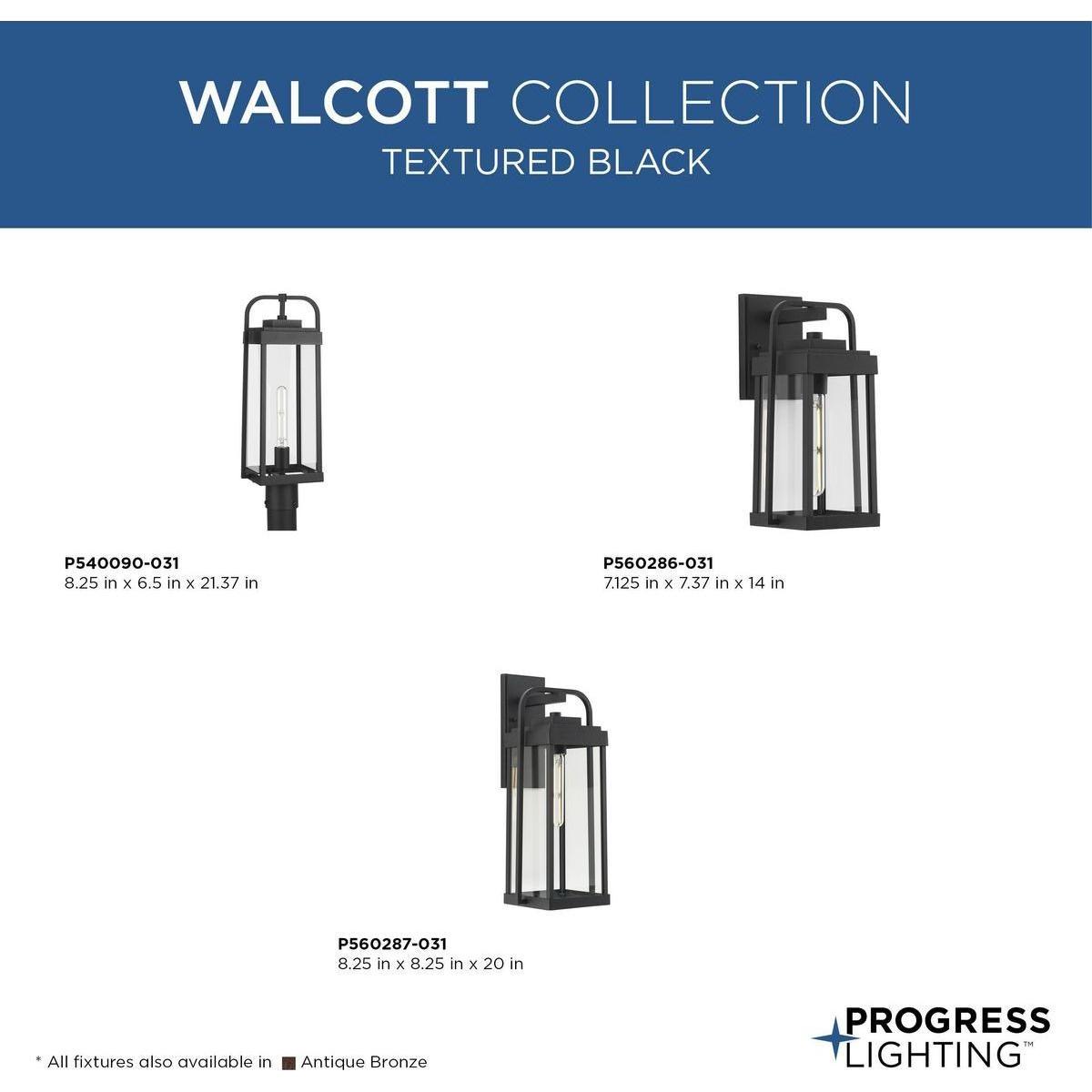 Walcott 1-Light Outdoor Wall Light