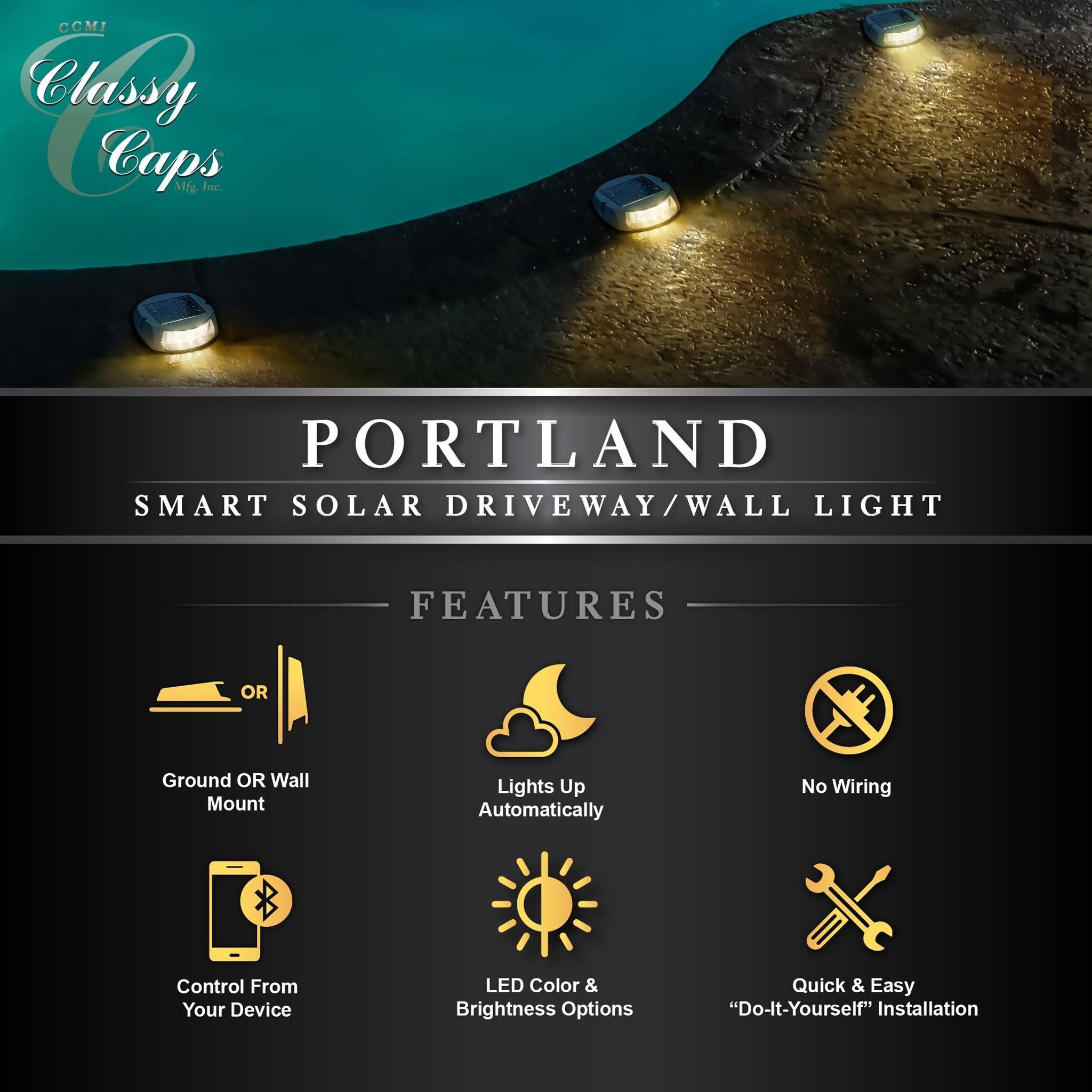Portland Smart Solar Driveway/Wall Light