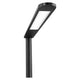 Dova Task Lamp