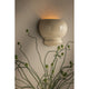 Cream ceramic bubble wall sconce glowing warm amber on textured wall, surrounded by delicate botanical stems with seed heads