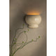 Cream ceramic bubble wall sconce on textured wall emitting warm amber light, with botanical stems in foreground