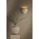 Cream ceramic bubble wall sconce glowing on textured wall above a styled vase with branches