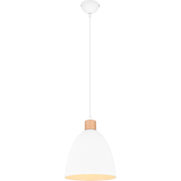 Jagger 1-Light Pendant
