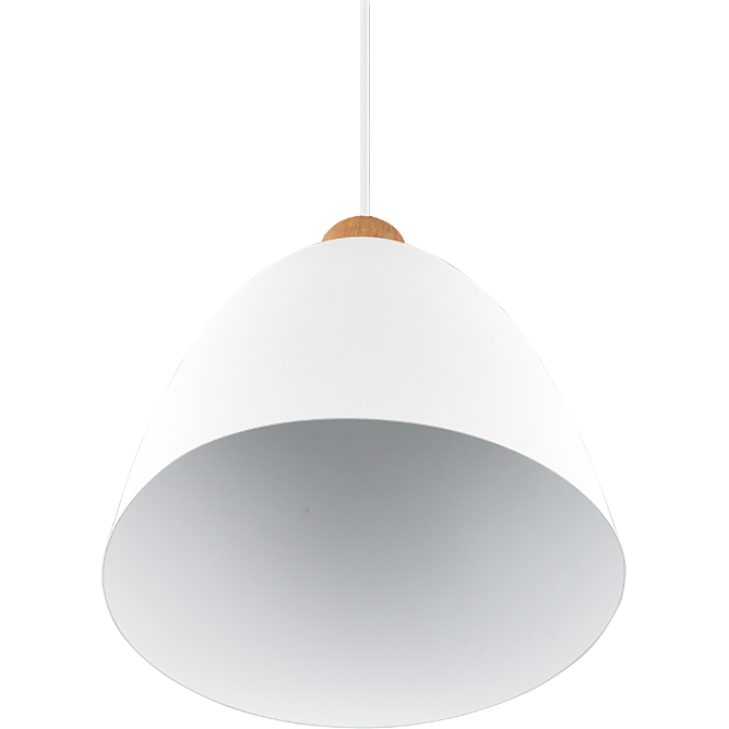 Jagger 1-Light Pendant