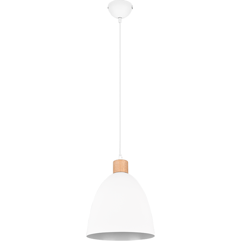 Jagger 1-Light Pendant