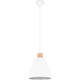 Jagger 1-Light Pendant