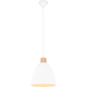 Jagger 1-Light Pendant