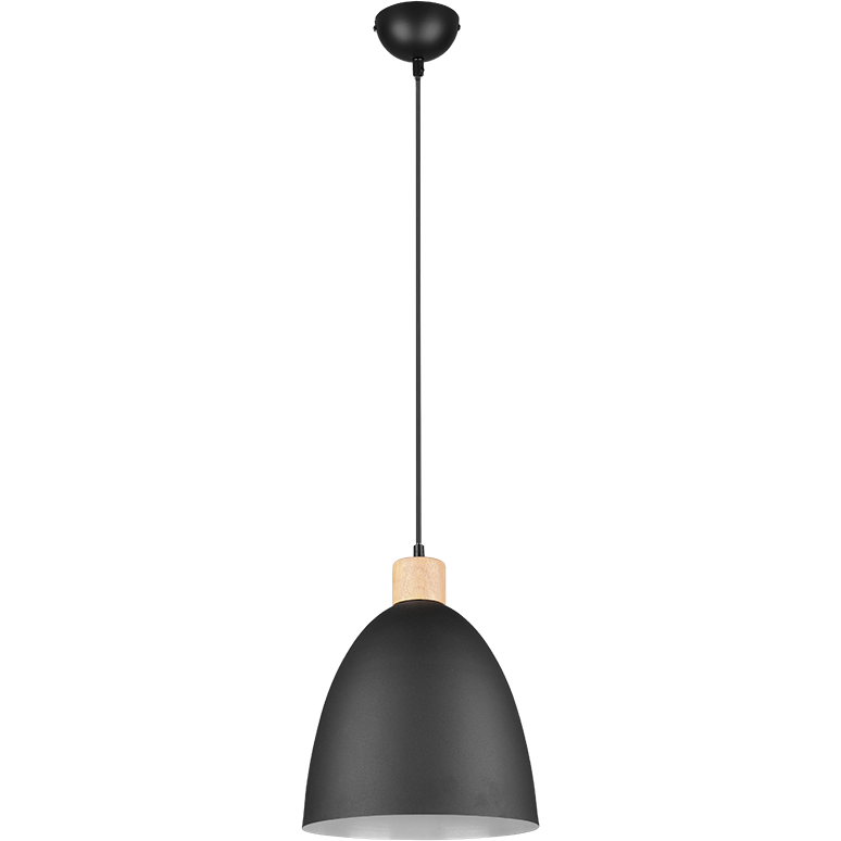 Jagger 1-Light Pendant