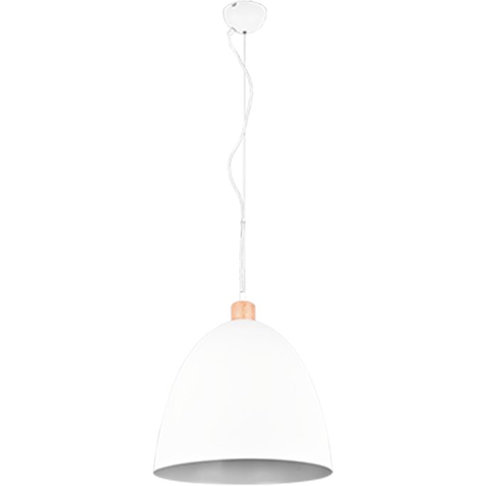 Jagger 1-Light Pendant