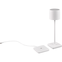 Fernandez 1-Light Wireless Lamp
