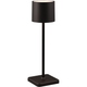 Fernandez 1-Light Wireless Lamp