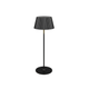Suarez LED Wireless Lamp