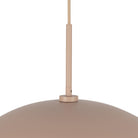 PD56019-PEC