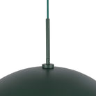 PD56019-PGN