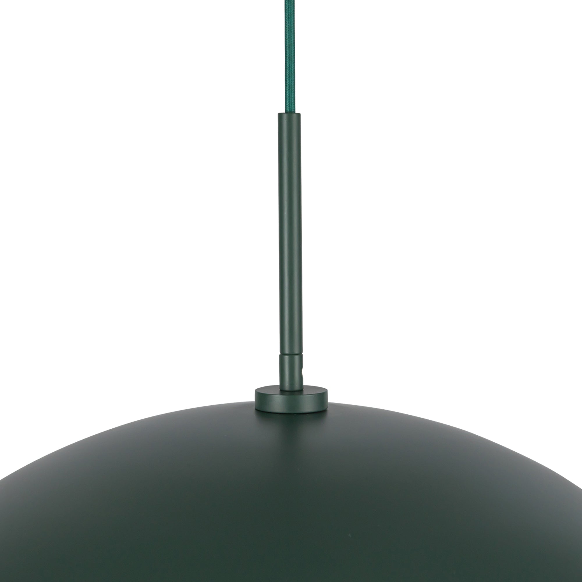 PD56019-PGN