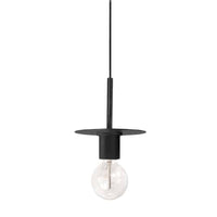Roswell 1-Light Pendant