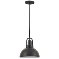 Reveka 1-Light Pendant