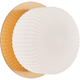 Knobbel 1-Light Wall Sconce