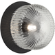 Knobbel 1-Light Wall Sconce