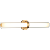 Satchie 1-Light Wall Sconce