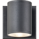 Tubular 1-Light Wall Sconce