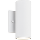 Tubular 2-Light Wall Sconce