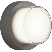 Syvana 1-Light 6.7" Sconce