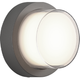 Syvana 1-Light 6.7" Sconce
