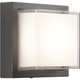Syvana 1-Light 6.3" Sconce