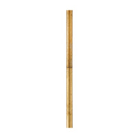 Stem 12" Accessory Stem