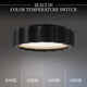 Tarte 12" LED Flush Mount