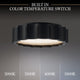 Tarte 12" LED Flush Mount
